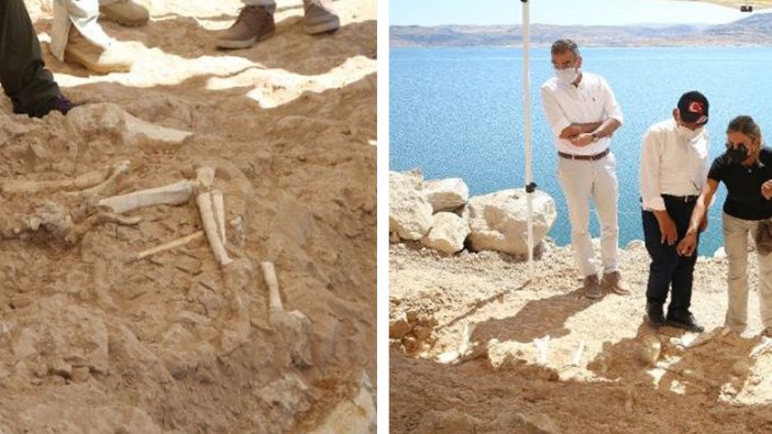 Yırtıcı etçillere ait fosiller bulundu