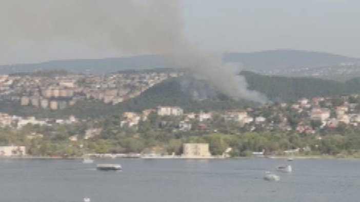 Beykoz'da ormanlık alanda yangın