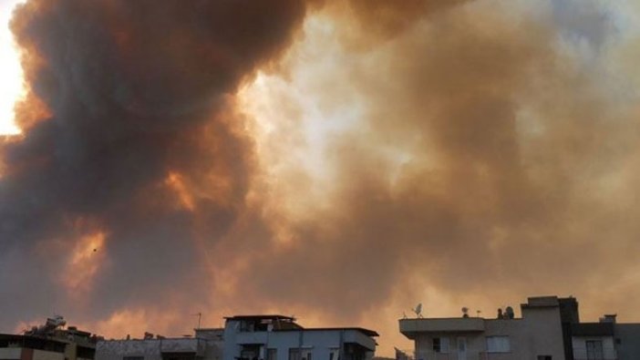 Aydın'da yangın: 50'ye yakın ev tahliye edildi