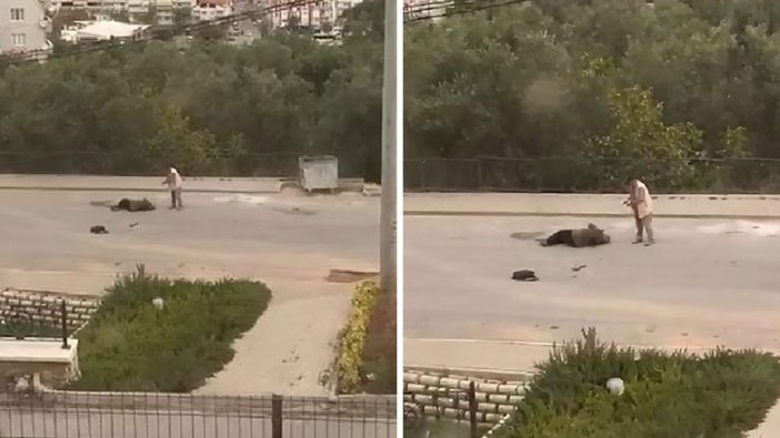 Bursa'da dehşet anları! Eşini sokak ortasında vurdu