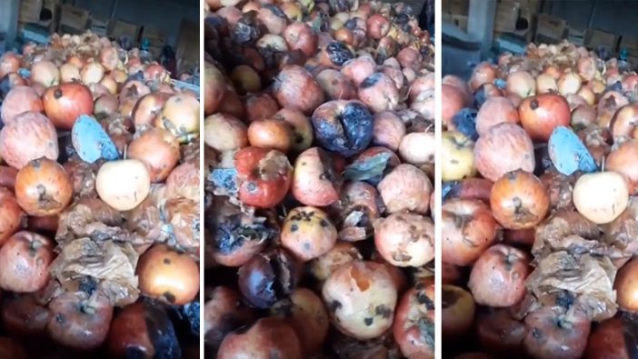 Çürük elma skandalı ile ilgili Tarım ve Orman Bakanlığı'ndan açıklama