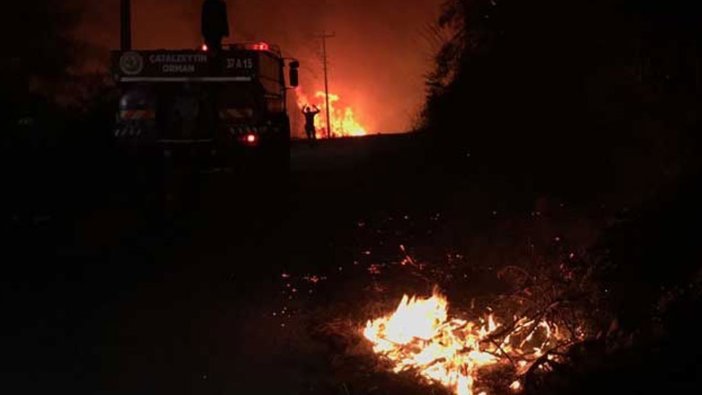 Kastamonu'da orman yangını mahalleye sıçradı