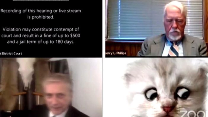 ABD'de online mahkemede kedi krizi! Ben kedi değilim   