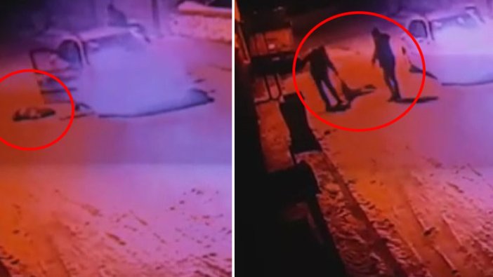 Konya'da 2 kişi sokak köpeğini önce ezdi sonra çöpe attılar!