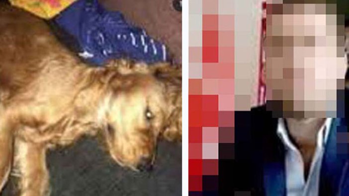  Ankara'da köpeğe cinsel istismarda bulunarak öldürmüştü! Yeni gelişme