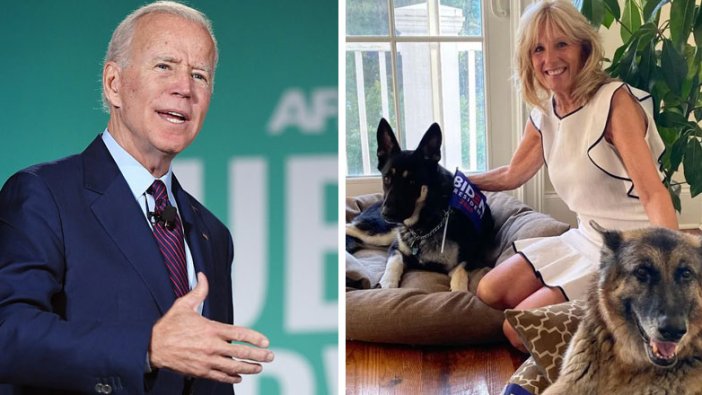 Biden'ın köpeği Beyaz Saray'ı karıştırdı