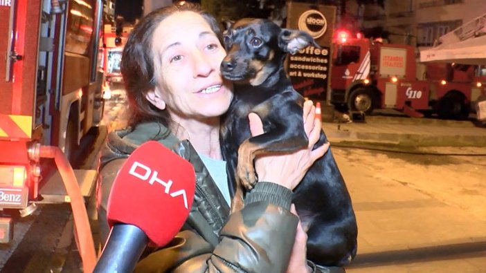 İstanbul'da köpek, sahibinin hayatını kurtardı