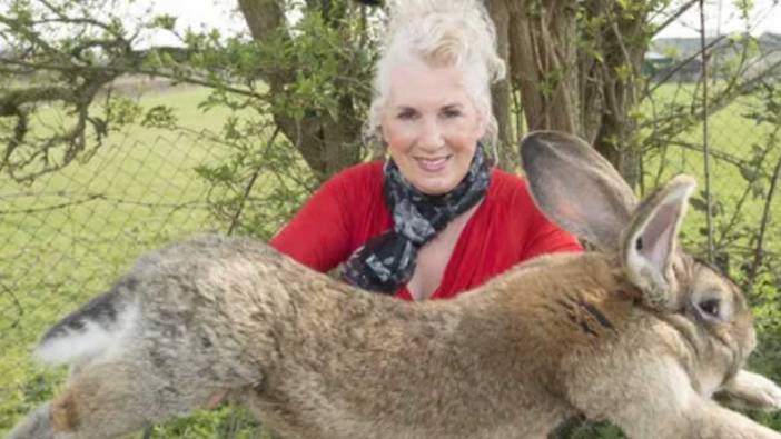 'Dünyanın en büyük tavşanı' evinden kaçırıldı