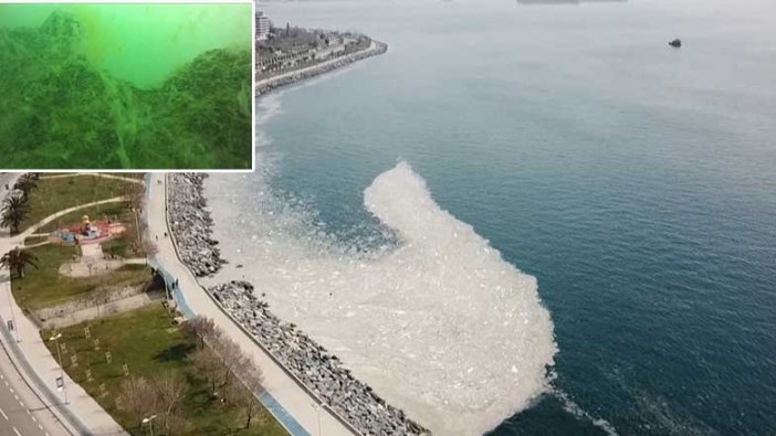 Marmara Denizi'nde deniz salyası görüldü! Tehlike saçıyor