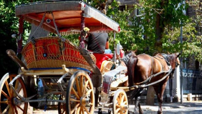 Ekrem İmamoğlu'nun MHP'li belediye hediye ettiği atlar kayıp! Çip takılmasına rağmen ortada yoklar
