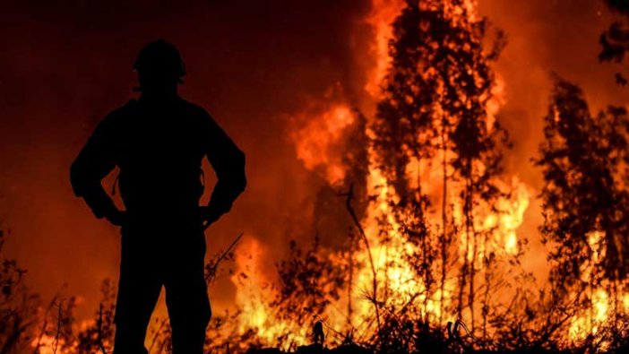 İspanya'da gönüllü itfaiyeci, 1,4 kilometrekare ormanlık alanı 'egosu için' ateşe verdi