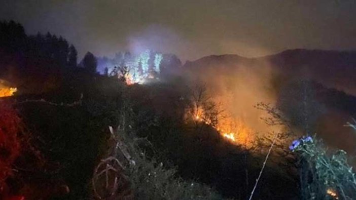Rize'de orman yangını çıktı