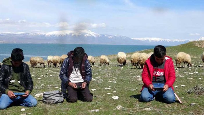 Van'ın Erciş ilçesinde yaşayan 3 arkadaş, hem çobanlık yapıyorlar hem ders çalışıyorlar