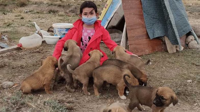 Zümra, 10 yavru köpeğin gönüllü bakıcısı oldu