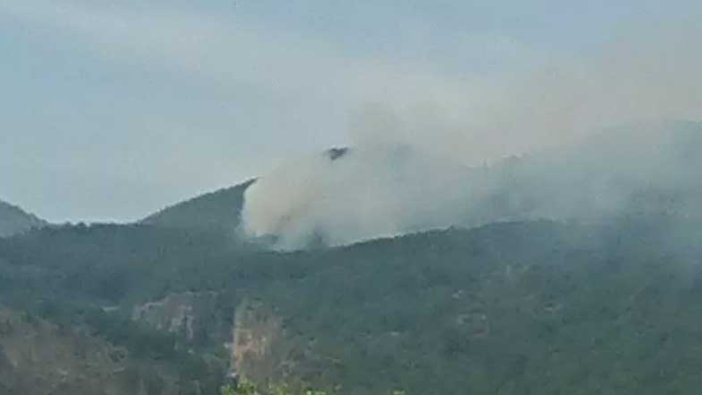 Muğla'nın Ortaca ilçesinde orman yangını çıktı