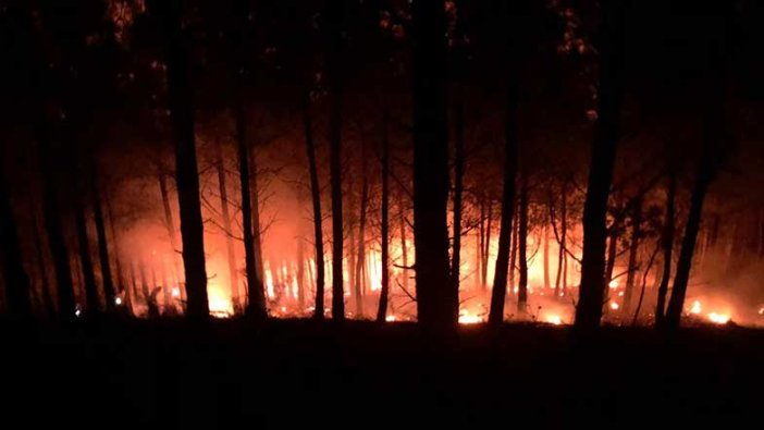 Adana Kozan'da orman yangını!