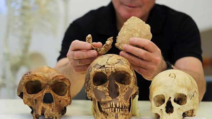 Tarih öncesi çağa ait erken insan türü keşfedildi