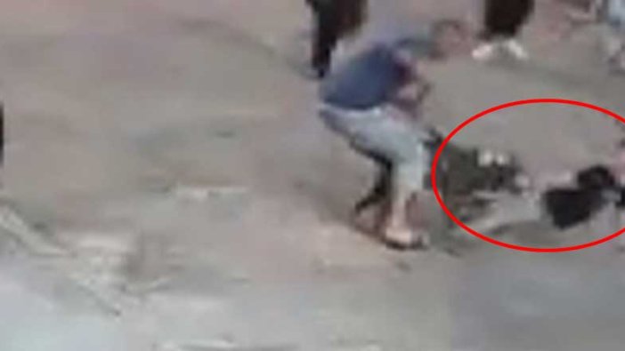 İstanbul'da pitbull dehşeti! Küçük çocuk adeta kabus yaşadı