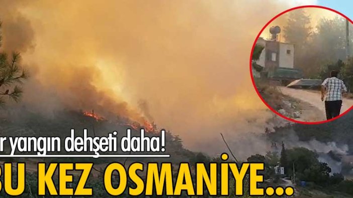 Antalya'daki yangının ardından Osmaniye'de de yangın çıktı!