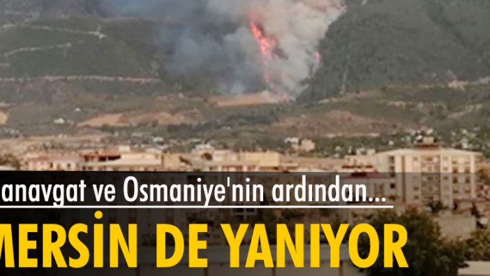 Manavgat ve Osmaniye'nin ardından Mersin'de de orman yangını