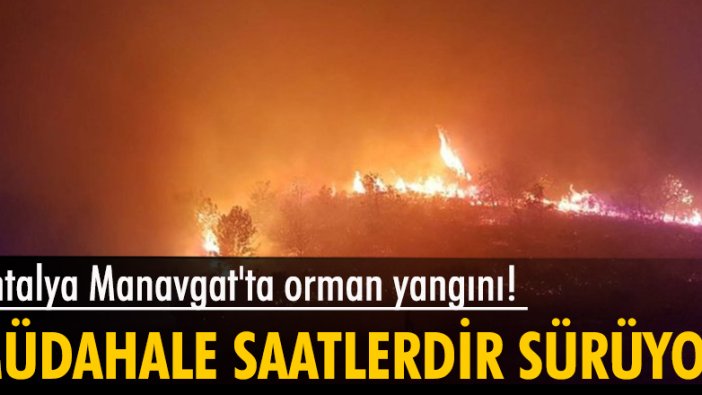 Son dakika: Antalya Manavgat'ta orman yangını! Müdahale saatlerdir sürüyor