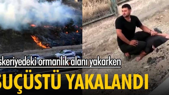 Ankara'da askeriyedeki ormanlık alanı ateşe verirken suçüstü yakalandı