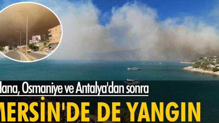 Adana, Osmaniye ve Antalya'dan sonra Mersin'de de yangın