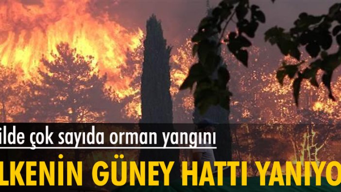 Türkiye'nin güney hattı yanıyor: 7 ilde çok sayıda orman yangını