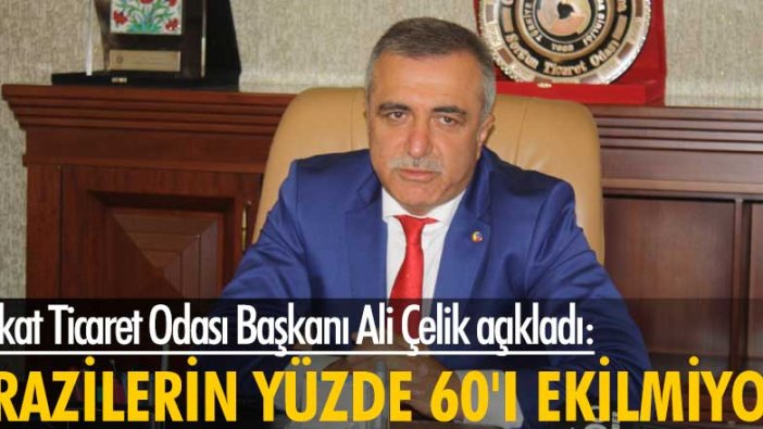 Tokat Ticaret Odası Başkanı Ali Çelik açıkladı: Tokat'ta arazilerin yüzde 60'ı ekilmiyor