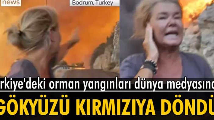 Türkiye'deki orman yangınları dünya medyasında