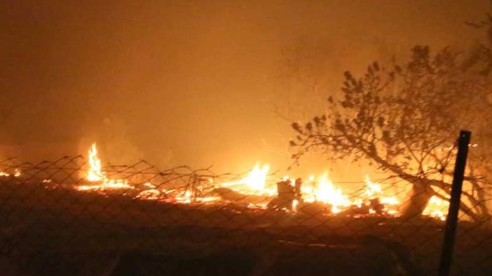 Orman Genel Müdürlüğü'nden 'yangın' açıklaması