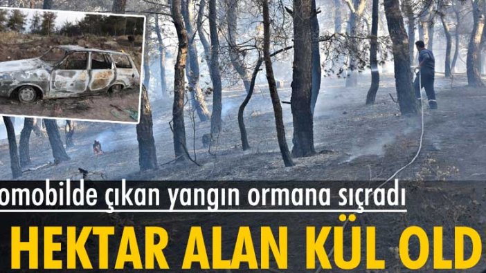 Manisa'da otomobilde çıkan yangın ormana sıçradı: 3 hektar alan kül oldu