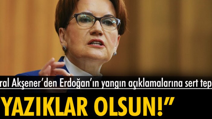 Meral Akşener'den Erdoğan'ın yangın açıklamalarına sert tepki