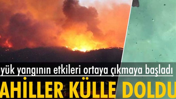 Antalya Manavgat'ta meydana gelen büyük yangının ortaya çıkmaya başladı