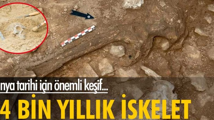 İspanya’da 14 bin yıl önce yaşayan bir kadının iskeleti bulundu