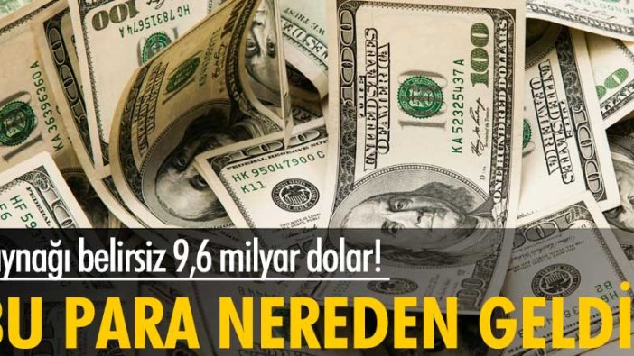 Türkiye’ye 2021’in ilk 6 ayında gelen kaynağı belirsiz para 9,6 milyar dolar!