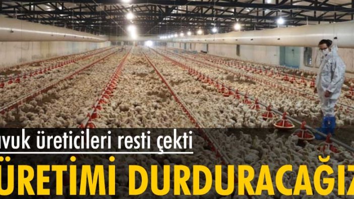 Tavuk üreticileri resti çekti: Üretimi durduracağız
