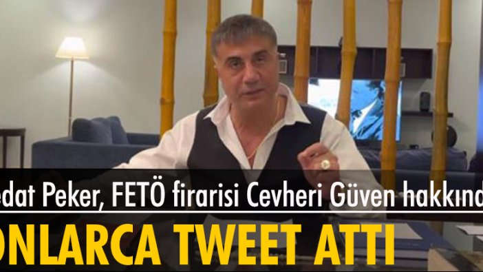 Sedat Peker, FETÖ firarisi Cevheri Güven hakkında onlarca tweet attı