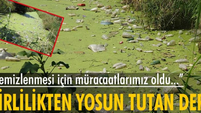 Edirne'de bulunan Bayır deresi kirden görünmez hale geldi
