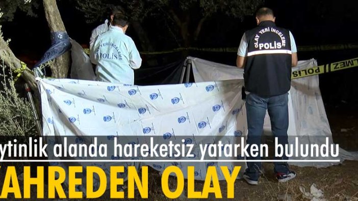 Bursa'nın Osmangazi ilçesinde zeytinlik alanda bulunan genç hayatını kaybetti