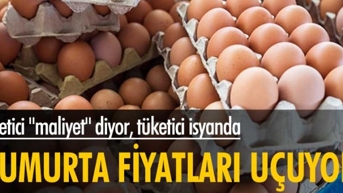 Yumurta fiyatlarında büyük artış! Üretici 