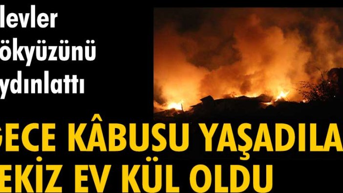 Ankara'da köyde çıkan yangında 8 ev kül oldu
