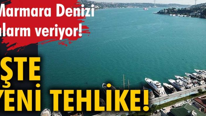 Marmara Denizi alarm veriyor! Yeni tehlike oksijen azlığı