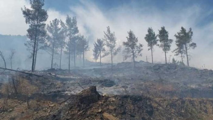 Anamur'da çıkan orman yangını kontrol altına alındı