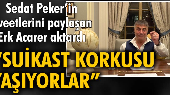 Sedat Peker'in tweetlerini paylaşan gazeteci Erk Acarer aktardı, 
