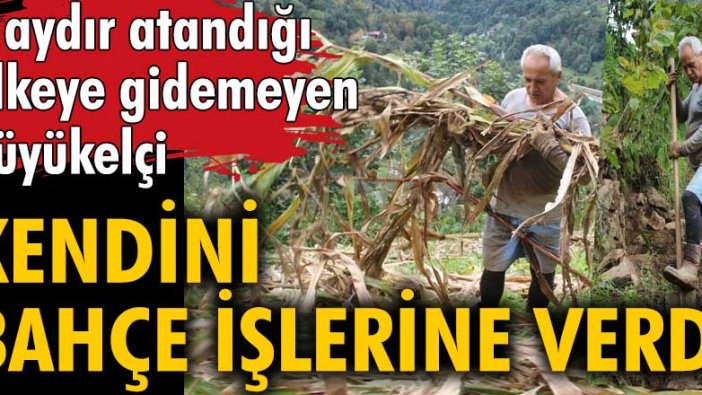 6 aydır atandığı ülkeye gidemeyen büyükelçi Ali Sait Akın, kendini bahçe işlerine verdi