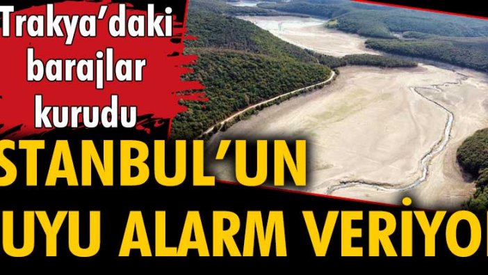 Trakya'daki barajlar kurudu. İstanbul'un suyu alarm veriyor