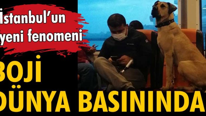 İstanbul'un yeni fenomeni Boji, dünya basınında
