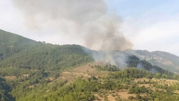 Ormanlık alanda yangın çıkardıkları iddia edilen iki kardeş gözaltına alındı