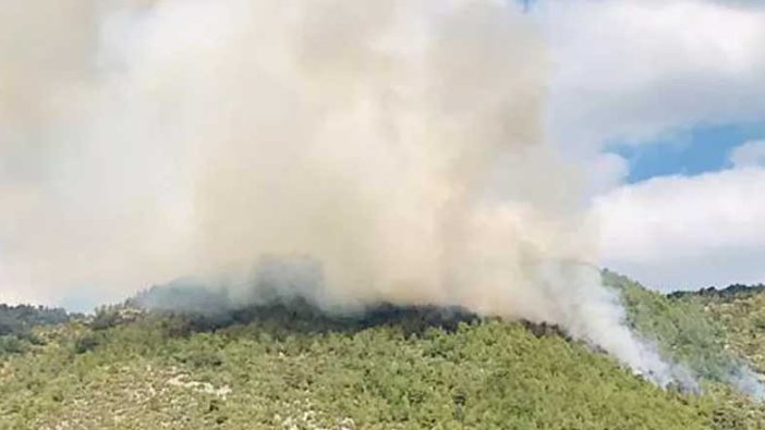 Antalya'da orman yangını. Rüzgarın etkisiyle...